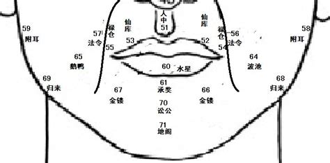 癦面相|麦玲玲面相讲座之 癦痣 – 人相学